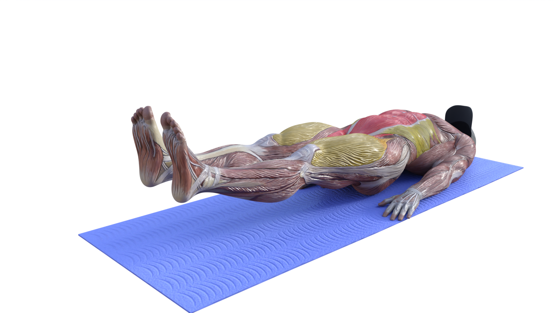 The '6-Inch' Hold Exercise: Core Strength or Back Strain